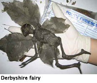 derbyshire-fairy_2001