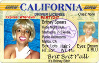 drivers-license-200