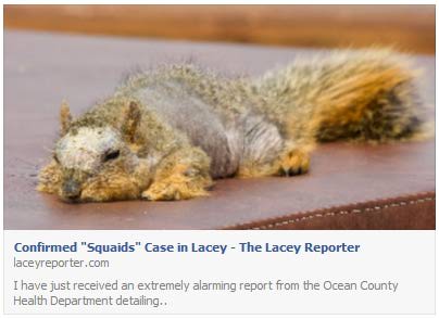 confirmed-squaids-case-in-lacey-fb