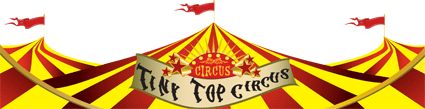 Tiny Top Circus Banner