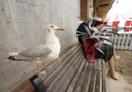 Pigeon hazard at Banksy's Dismaland theme park. Yui Mok / PA WIRE